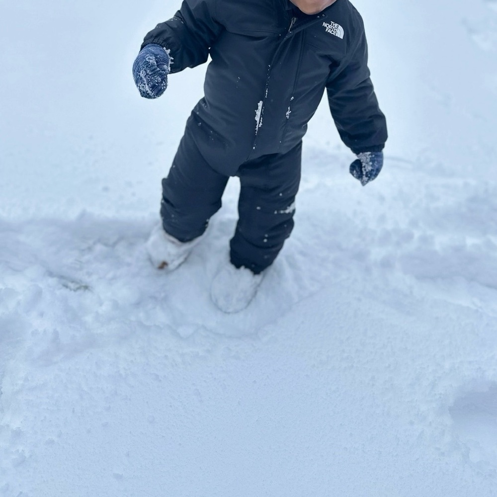 The North Face Black Winter Snowsuit